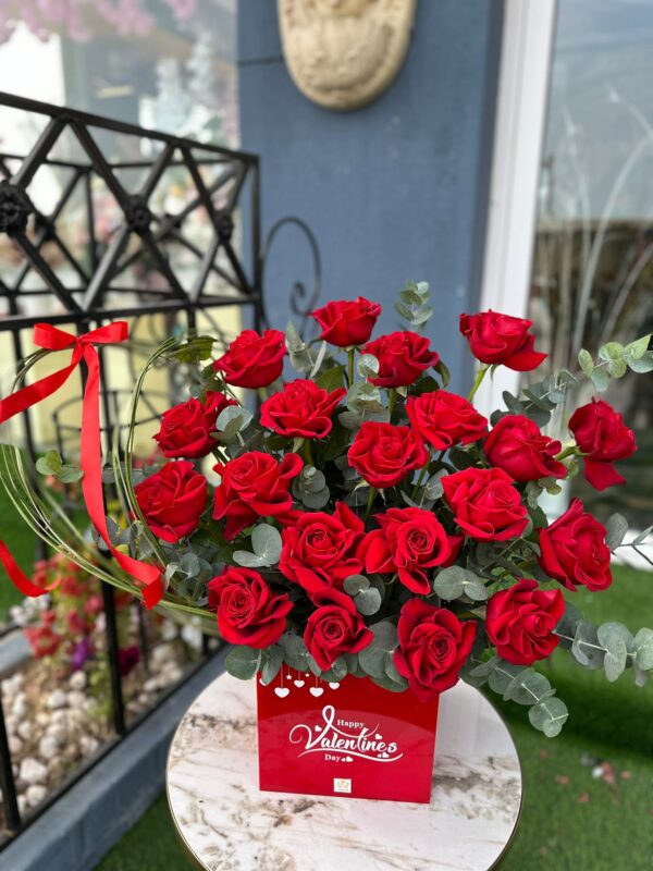 R018 Box Red